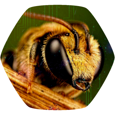 fake_bee@social.anoxinon.de