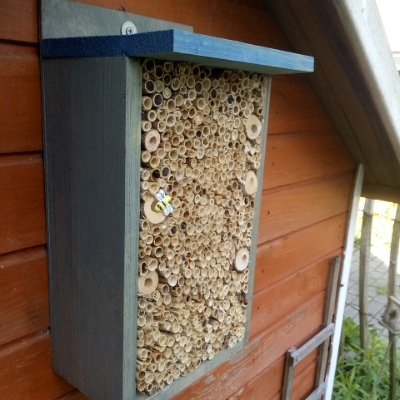 micha21@social.anoxinon.de