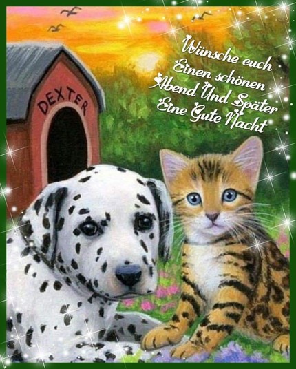 Eine Hundehütte im Freien, auf ihr steht der Name Dexter. Davor sind ein Dalmatiner und ein Tiger Kätzchen.  Dazu steht: Wünsche Euch einen schönen Abend und später eine gute Nacht