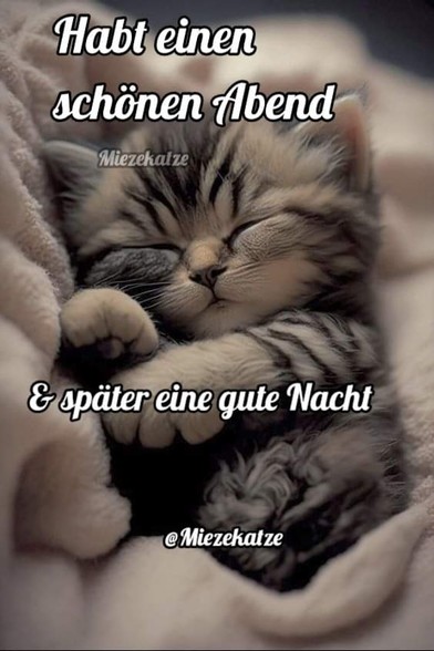 Ein kleines Kätzchen im kuscheligen Bettchen.  Dazu steht: Habt einen schönen Abend & später eine gute Nacht 

@Miezekatze
