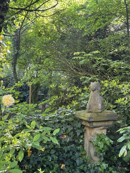 Ein üppiger Garten mit einer steinernen Statue eines Widders auf einem Sockel, umgeben von grünem Laub und einer gelben Blume im Vordergrund.

A lush garden with a stone statue of a creature on a pedestal, surrounded by green foliage and a yellow flower in the foreground.