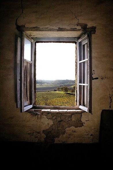 Ein geöffnetes braunes Holzfenster in einem alten Gebäude. Der Putz bröckelt von den Wänden. Durch das Fenster sieht man auf Felder, Bäume, eine leicht hügelige Landschaft.
Quelle: Fattoria di Felsina Berardenga