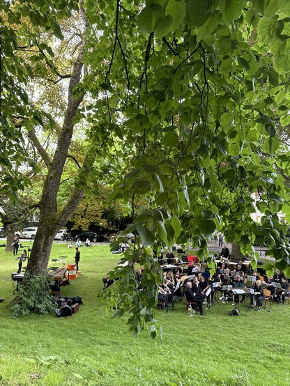 Unter grünen Bäumen sitzt ein komplettes Orchester, das sich auf den Auftritt einstimmt