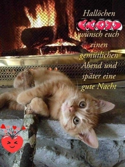 Ein Kätzchen liegt vor dem brennenden Kamin 
Dazu steht: Hallöchen   wünsch Euch einen gemütlichen Abend und später eine gute Nacht