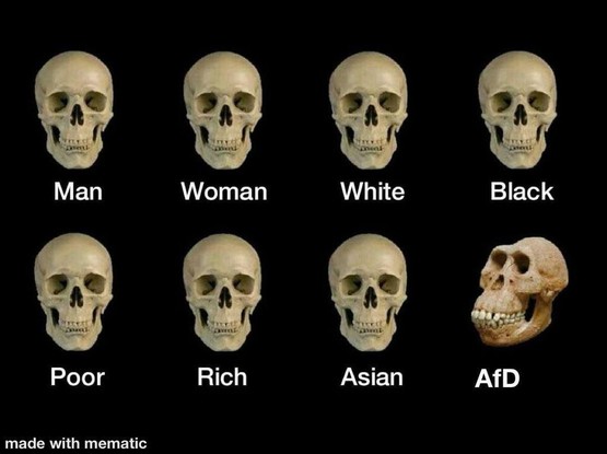 Acht Skelettköpfe. 

1. Man

2. Woman

3. White 

4. Black 

5. Poor 

6. Rich 

7. Asian 

8. AfD (Der Kopf von einem Affen)
