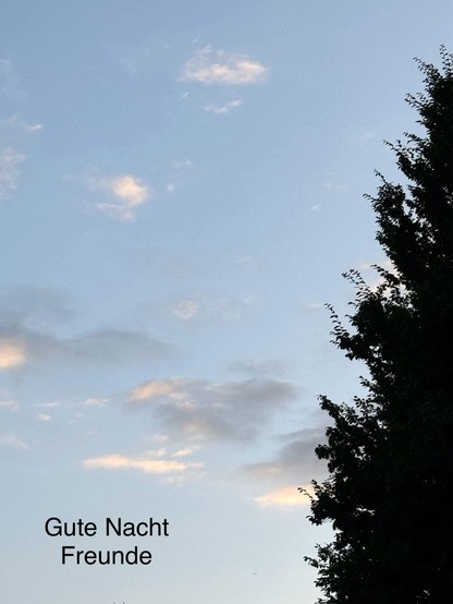 Evening sky with clouds and a tree silhouette on the right. Text in German on the bottom left reads 