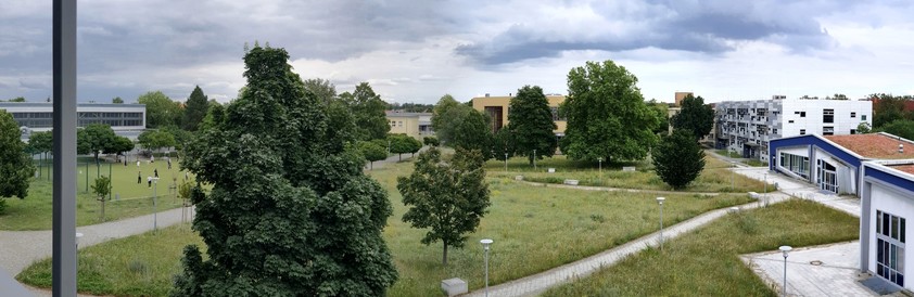 This shows an image of the campus of the Brandenburg University of Technology #BTUCS, located in #Senftenberg, Germany. Due to frequent rain and summerly days everything is green and flowering in particular the wild grass areas.