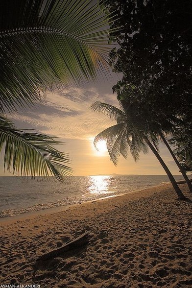 Tiefstehende Abendsonne über dem Meer, im Vordergrund Strand und Palmen
Foto Netzfund