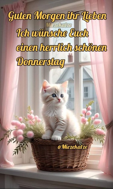 Ein Kätzchen im Körbchen mit rosa Blumen drin. Dahinter das Fenster mit rosa Gardinen. 

Dazu steht: Guten Morgen ihr Lieben 

Ich wünsche Euch einen herrlichen schönen Donnerstag 

@Miezekatze