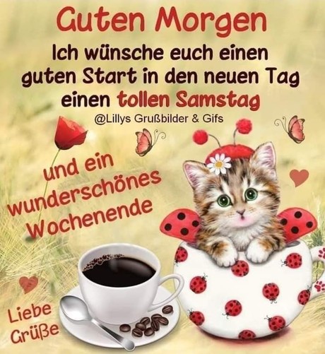 Ein Kätzchen in einer Tasse mit Marienkäferdecko, daneben eine Tasse Kaffee. Dazu steht: Guten Morgen   Ich wünsche Euch einen guten Start in den  neuen Tag  einen tollen Samstag    und ein wunderschönes Wochenende Liebe Grüße 

@Lillys Grußbilder & Gifs