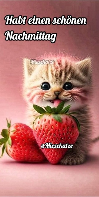 Eine Katze mit zwei Erdbeeren. 

Habt einen schönen Nachmittag 

@Miezekatze