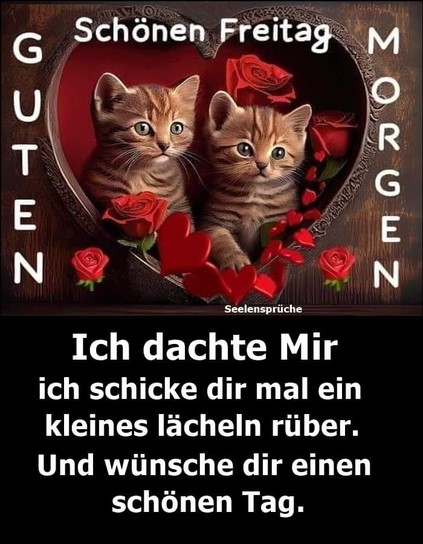 Zwei Katzen schauen aus einem herzförmigen Gebilde umgeben von Rosen und kleine Herzen. Dazu steht:

GUTEN MORGEN 

Schönen Freitag 

Ich dachte Mir ich schicke dir mal ein kleines lächeln rüber. Und wünsche dir einen schönen Tag.

(Seelensprüche)