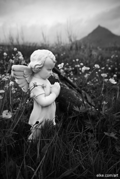 In this poignant black-and-white photograph, the serene figure of a praying angel stands amidst the wild flora of Hellnar Cemetery, Iceland.

The contrast between the delicate marble statue and the rugged, untamed landscape evokes a sense of peaceful solitude and reverence. The distant, mist-shrouded mountain in the background adds depth and mystery, amplifying the ethereal atmosphere of the scene. This piece beautifully captures the tranquility and spiritual essence of its setting, offering a moment of reflection and calm.