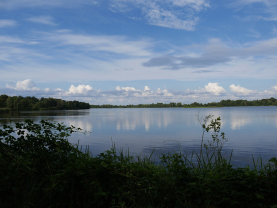 Das Bild zeigt eine Landschaftsaufnahme von einem großen Teich (Ausschnitt, der Teich ist erkennbar größer als abgebildet), darüber ist blauer Himmel mit großen, weißen Wolken. Es ist ziemlich Windstill, so das sich die Landschaft leicht im Wasser spiegelt. Um den Teich ist Wald.