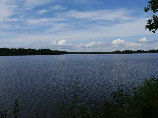 Das Bild zeigt eine Landschaftsaufnahme von einem großen Teich (Ausschnitt, der Teich ist erkennbar größer als abgebildet), darüber ist blauer Himmel mit großen, weißen Wolken. Es ist ziemlich Windstill, so das sich die Landschaft leicht im Wasser spiegelt. Um den Teich ist Wald.