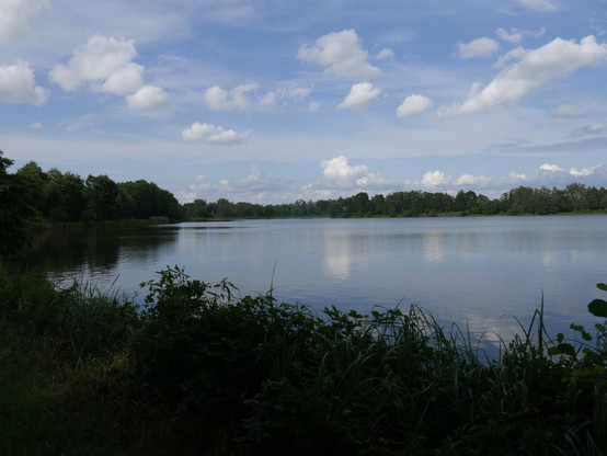 Das Bild zeigt eine Landschaftsaufnahme von einem großen Teich (Ausschnitt, der Teich ist erkennbar größer als abgebildet), darüber ist blauer Himmel mit großen, weißen Wolken. Es ist ziemlich Windstill, so das sich die Landschaft leicht im Wasser spiegelt. Um den Teich ist Wald. Im Teich ist eine Insel erkennbar.