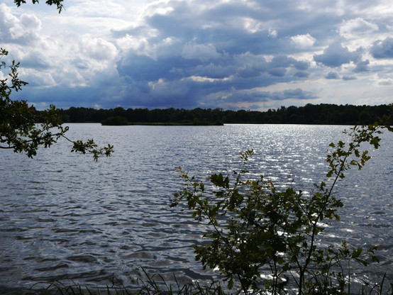 Das Bild zeigt eine Landschaftsaufnahme von einem großen Teich (Ausschnitt, der Teich ist erkennbar größer als abgebildet), darüber ist blauer Himmel mit großen, weißen Wolken. Es ist ziemlich Windstill, so das sich die Landschaft leicht im Wasser spiegelt. Um den Teich ist Wald. Im Teich ist eine Insel erkennbar und man sieht, wie sich die Sonne glitzernd im Wasser spiegelt.