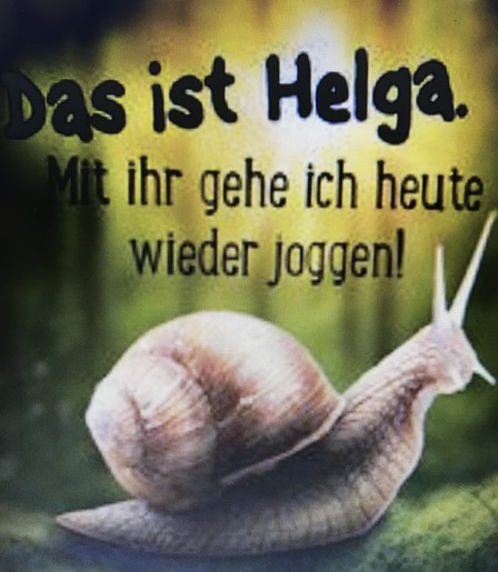 Eine Schnecke mit Schneckenhaus vor gelblich günem Hintergrund
Schwarzer Text:
Das ist Helga. Mit ihr gehe ich heute wieder joggen. 