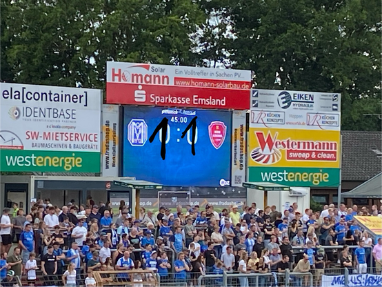Meppen gegen Flensburg 1:1