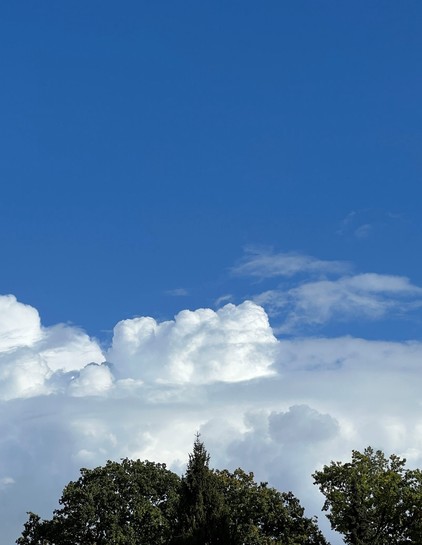Trees and puffy white clouds beneath a bright blue sky.
Am unteren Bildrand Baumkronen, darüber türmen sich Stratocumulus Wolken, in der oberen Bildhälfte blauer Himmel 