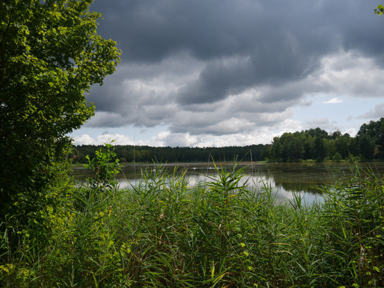 Eine Landschaftsaufnahme an einem großen Teich. Der Teich ist von grün umgeben, welches von der Sonne angestrahlt wird und richtig satt grün leuchtet. Über dem Teich sind schon dunkle Regenwolken und im Hingrund ist Wald. Auf dem Teich schwimmen Schwäne.