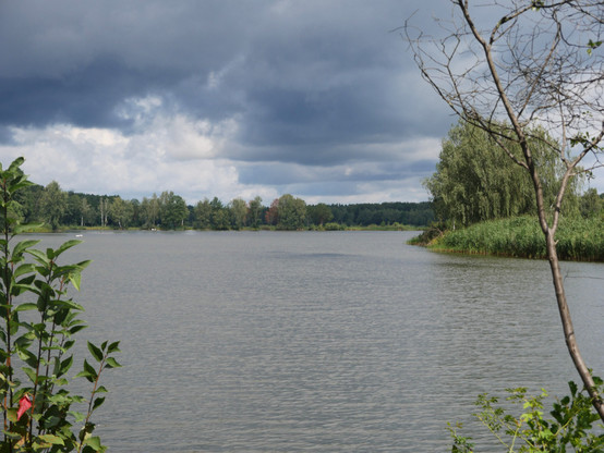 Eine Landschaftsaufnahme von einem Teich. Über dem Teich sind dunkle Regenwolken und um den Teich viele Bäume und im Hintergrund Wald.
