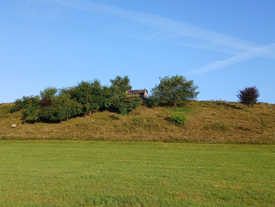 länglicher Hügel mit Hecken und einem verfallenden Unterstand, als Schafsweide genutzt. Davor eine gemähte Wiese. Blauer Himmel