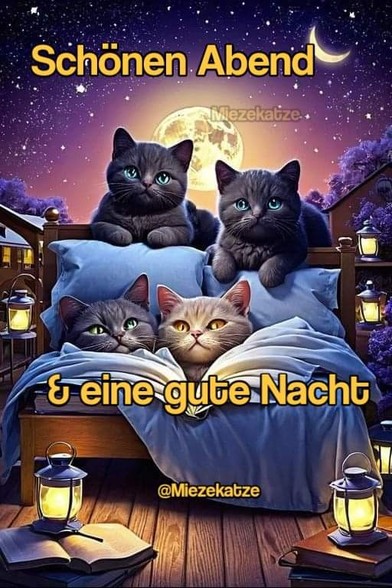 Ein Bett im Freien. Im Bett zwei Katzen, hinterm Bett zwei Katzen. Dahinter Mondenschein.

Dazu steht: Schönen Abend & eine gute Nacht

@Miezekatze