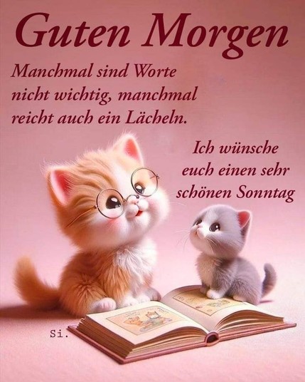 Eine Katze mit Brille. Davor ein aufgeschlagenes Buch mit einem kleinen Kätzchen auf der aufgeschlagenen Seite. Dazu steht:

Guten Morgen 

Manchmal sind Worte nicht wichtig, manchmal reicht auch ein Lächeln. 

Ich wünsche euch einen sehr schönen Sonntag 

(Si.)