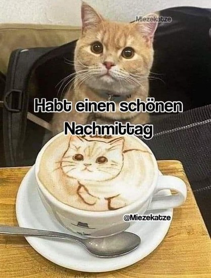 Ein Kätzchen mit einer Tasse Kaffee, im Kaffeeschaum spiegelt sich eine Katze wieder. Dazu steht: 

Habt einen schönen Nachmittag

@Miezekatze