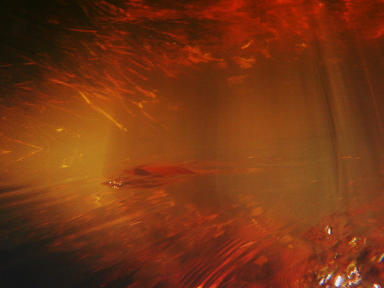 Das Foto zeigt eine abstrakte Verfremdung eines Unterwasser-Fotos. Es ist in rot-gelben Farbtönen, man sieht eine Art Tunnel, durch den etwas zu schwimmen Scheint. Es sieht fremdartig aus.