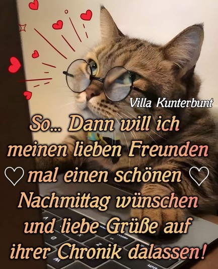 Eine Katze mit Brille an der Tastatur vom PC. 

Dazu steht: So... Dann will ich meinen lieben Freunden mal einen schönen Nachmittag wünschen und liebe Grüße auf ihrer Chronik dalassen!

(Villa Kunterbunt)