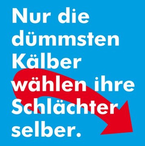 Hintergrund AfD Logo: Text weiß: Nur die dümmsten Kälber wählen ihre Schlächter selber!