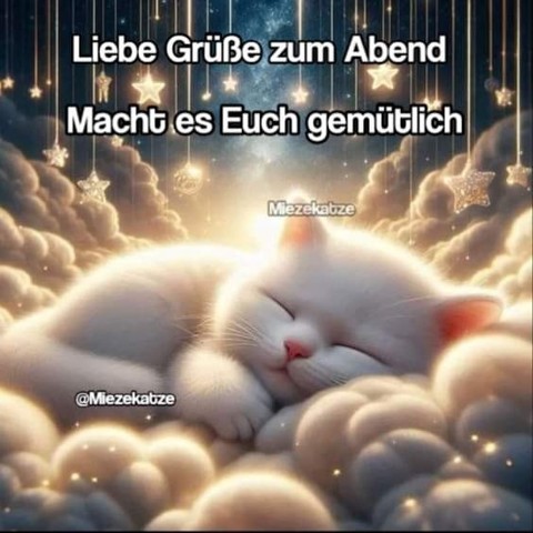 Eine Katze auf Wölkchenartigem Bettchen.  Dazu steht: 

Liebe Grüße zum Abend 
Macht es Euch gemütlich 

@Miezekatze