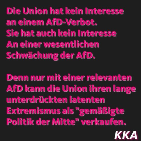 Die Union hat kein Interesse an einem AfD-Verbot. 
Sie hat auch kein Interesse an einer wesentlichen Schwächung der AfD. 

Denn nur mit einer relevanten AfD kann die Union ihren lange unterdrückten latenten Extremismus als 