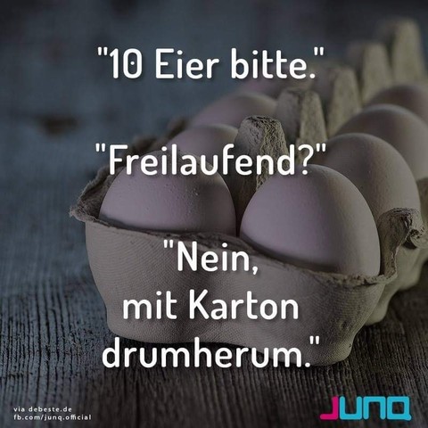 Graugrundiges Bild, weiße Eier in einem Eierkarton
Weißer Text:
