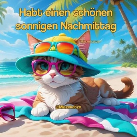 Ein Kätzchen liegt am Strand auf einer Decke unter Palmen. Sie trägt Sonnenhut und Brille.  Dazu steht: 

Habt einen schönen sonnigen Nachmittag 

@Miezekatze