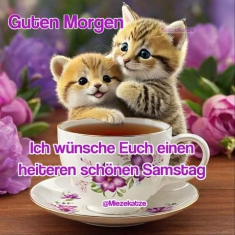 Eine Tasse, daneben zwei Kätzchen. Drumherum viele Rosen. Dazu steht: 

Guten Morgen 

Ich wünsche Euch einen heiteren schönen Samstag 

@Miezekatze