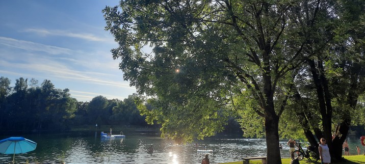 Badesee mit Liegewiese im Vordergrund und vielen Bäumen rundherum 