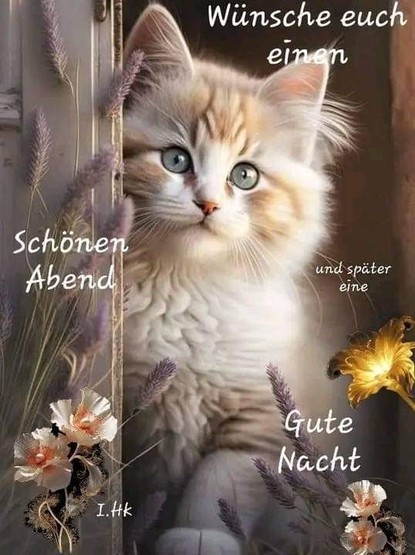 Eine Katze schaut hinter einer Türöffnung verziert mit einigen Blumen und Pflanzen hervor, dazu steht:

Wünsche Euch einen 

Schönen Abend 

Und später eine 

Gute Nacht 

(I.Hk)