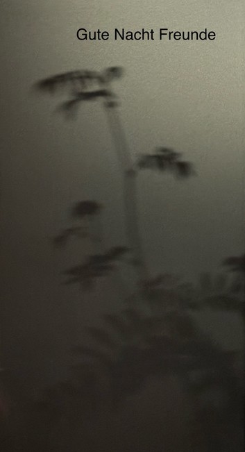 A blurred image showing dark plant silhouettes against a muted background, with the text 