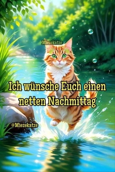 Eine Katze planscht im Fluss. Dazu steht:

Ich wünsche Euch einen netten Nachmittag 

@Miezekatze