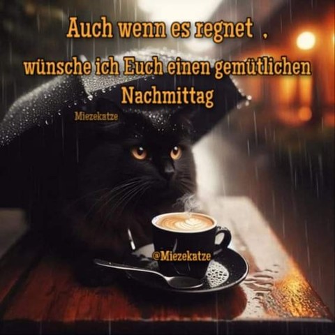 Ein Kätzchen am Tisch unterm Regenschirm bei einer Tasse Kaffee. Dazu steht:

Auch wenn es regnet, wünsche ich Euch einen gemütlichen Nachmittag 

@Miezekatze