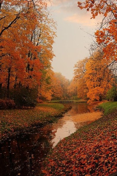 Ein kleiner Fluss schlängelt sich mittig durch Wiesen mit Herbstlaub, am Rand stehen herbstlich gefärbte Bäume