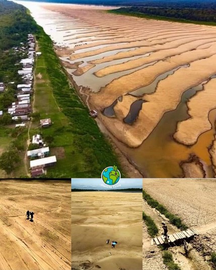 Fotos von ausgetrockneten Flüssen im Amazonas, Text im Original und Bilder von Planeta Terra