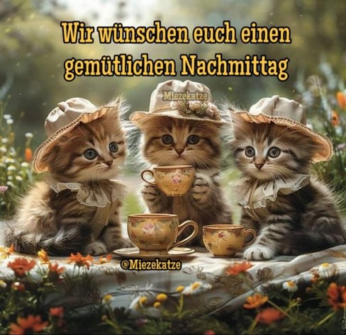 Drei Katzen mit Hut am Tisch bei einer Tasse Kaffee im Garten. Dazu steht:

Wir wünschen euch einen gemütlichen Nachmittag

@Miezekatze