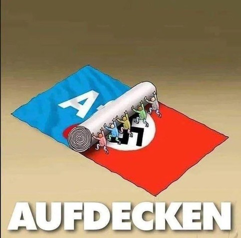 5 bunte, kleine Menschen rollen ein AfD Plakat weg, so dass darunter eine Hakenkreuzfahne sichtbar wird. 
Darunter steht
AUFDECKEN
AfDVerbotJetzt