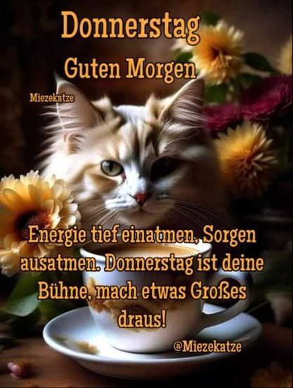 Eine braune Katze hinter einer Tasse Kaffee umgeben von Herbstblumen. Dazu steht:

Guten Morgen 

Energie tief einatmen, Sorgen ausatmen, Donnerstag ist deine Bühne, mach etwas Großes draus!

@Miezekatze