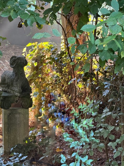 A stone sculpture of a ram sits amidst lush greenery and dappled sunlight in a wooded area. The background features dense foliage and hints of a building.

Eine Steinskulptur eines Widders sitzt inmitten von üppigem Grün und gesprenkeltem Sonnenlicht in einem Waldgebiet. Der Hintergrund zeigt dichtes Laub und einen Hauch von einem Gebäude.