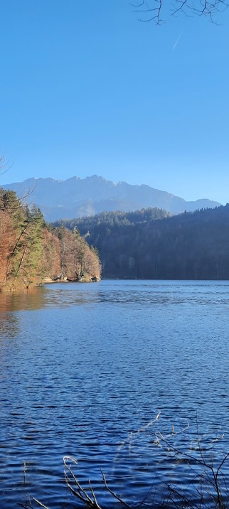 Im Vordergrund ein See  links Bäume mit gelbem Laub. Im Hintergrund das felsige Kaisergebirge.